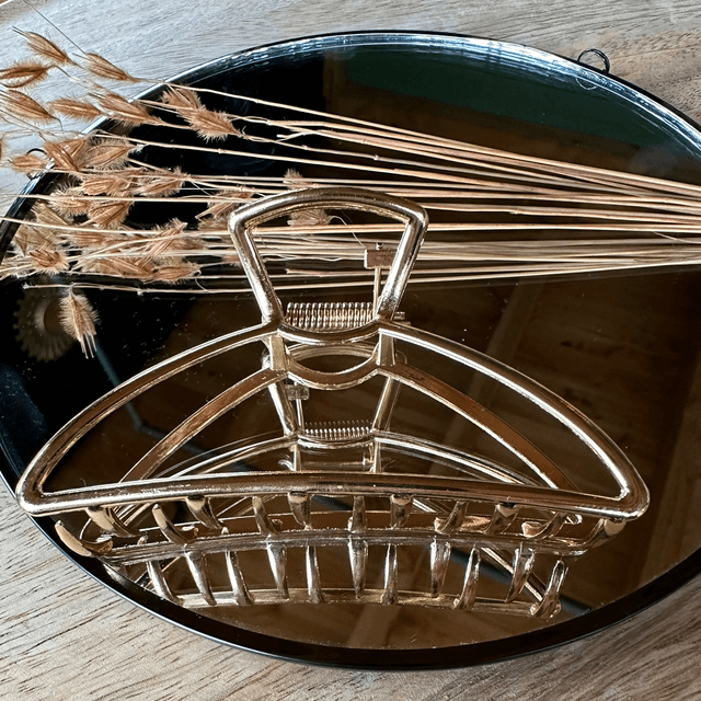 Haarklem goud 